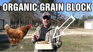 DIY organic chicken Flock block  Grain & seed Block