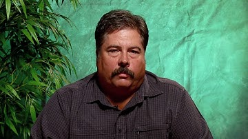 Steve Yelton - Program Chair - Software Engineering Technology