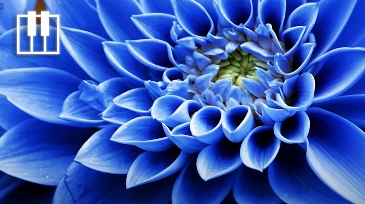 Relaxing Piano Music for Meditation, Yoga, Stress Relief and Relaxation "May Lily" by Yuriy Melnyk