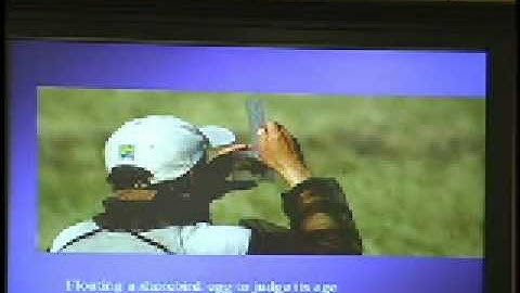 Presentation on Conserving Migratory Birds by Doug Ryan, U.S. Fish & Wildlife Service