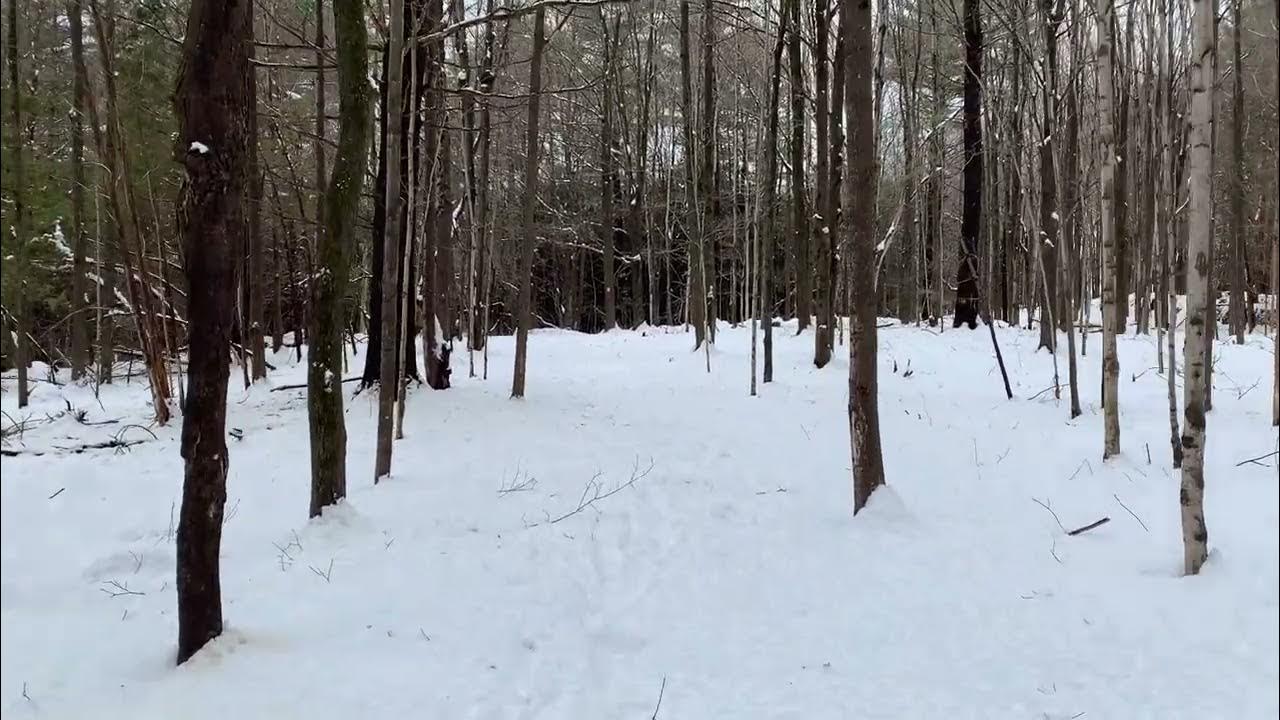 Early Snow at Woodchuck Hill (Woodchuck Hill Field and Forest Preserve