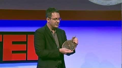 Astrolabe TW en long