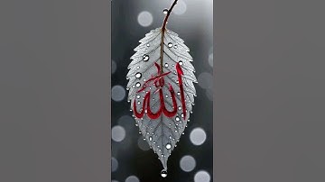سورة الاخلاص بصوت تخشع له القلوب ❤️🥹