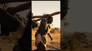 Sabertooth Tiger vs Wildebeast-Realistic #earlyhumans #prehistoriclife #shortsviral #tiger#animals