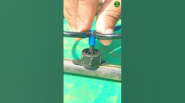 🔥Drip irrigation idea!👌🏻for home garden!!👍🏻