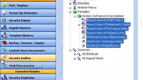 BSP MetaManager   Cleaning up broken shortcuts & report views in Cognos Connection