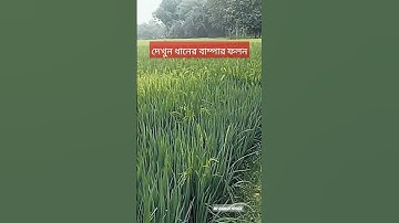 Thumbnail of #song #music #rice #trending #trend #trendingsong #viralshort