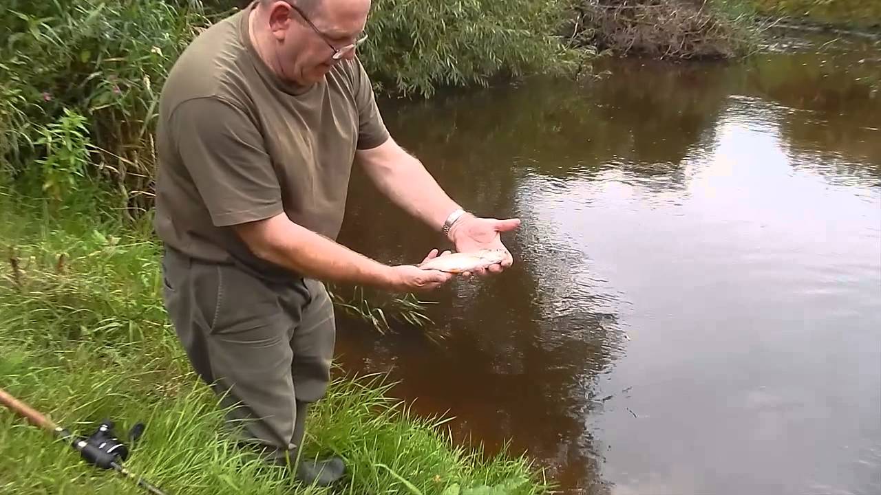 Fishing River dane middlewich - YouTube