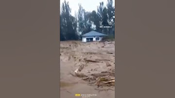 "Plant Trees, Save Yourself! 🌱 | Save Earth, Save Future 🌍"