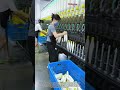Satisfying yarn changing process by a spinning worker