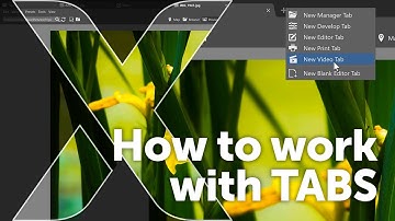 How to use tabs in Zoner Studio
