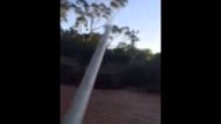 Bait Launcher Filled With Flowers