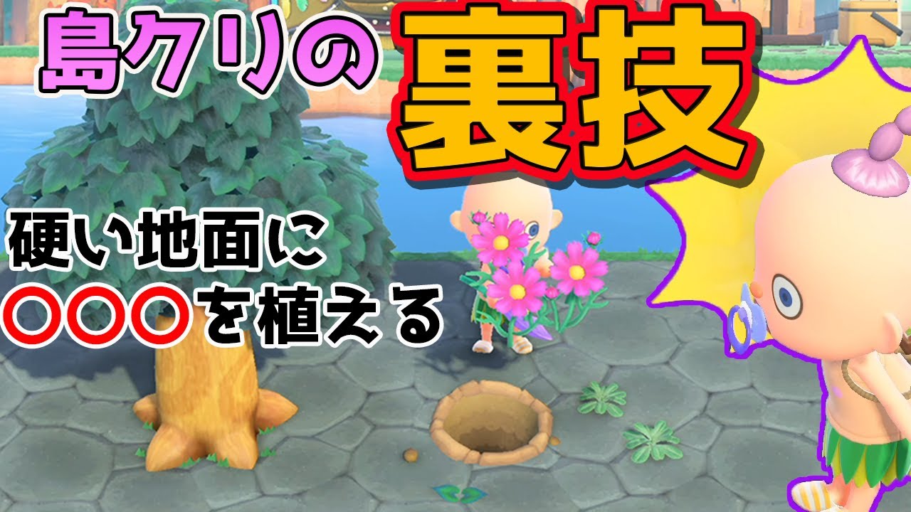 あつ森裏技 島クリのヤバ過ぎるテクニック 石やタイルの硬い地面に木や花を植える方法を発見したから検証しながら解説 マイデザインの上はどうなるか等気になる小ネタも アプデで修正されても安心な情報付き Youtube