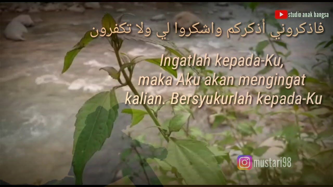  Kata kata  Bijak  Agos Kotak Ega Alfariz  story  WA  YouTube