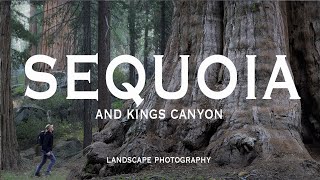 ABSTRACT Landscape Photography in the EPIC Sequoia and Kings Canyon National Parks