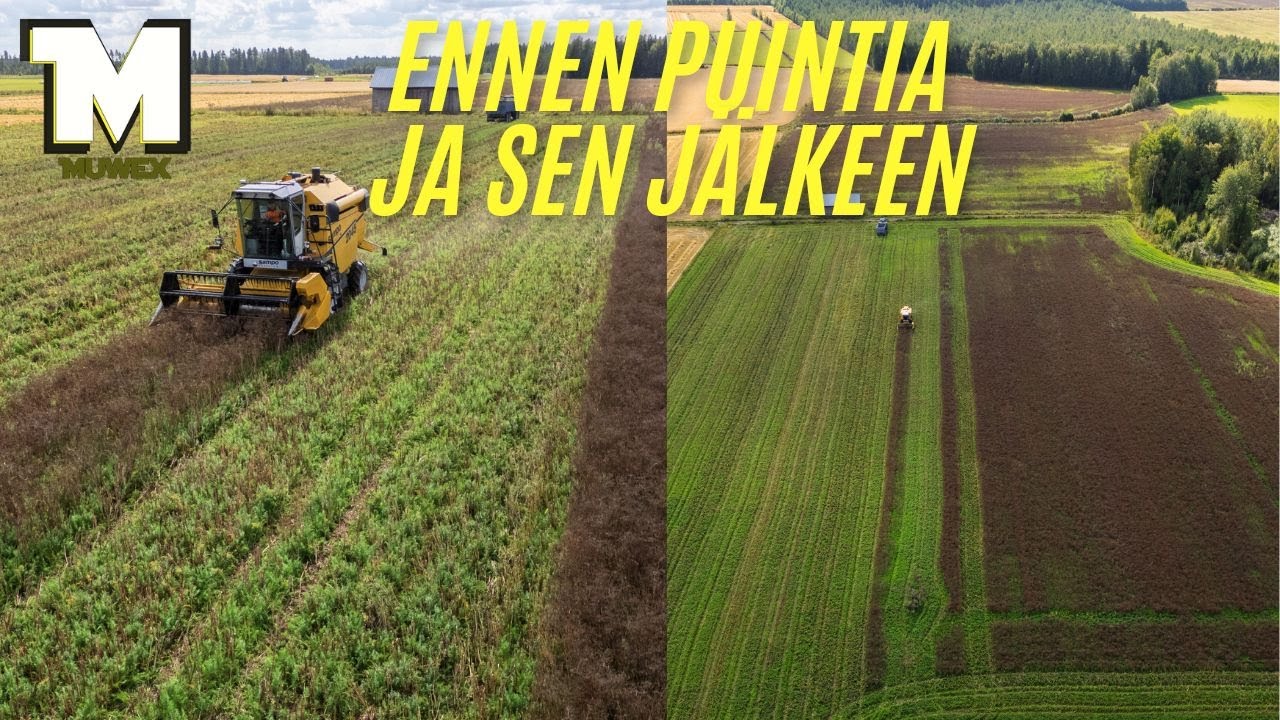 MISTÄ ALOOTETAHAN - NO KUMINASTA!