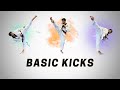 Taekwondo basic kicks