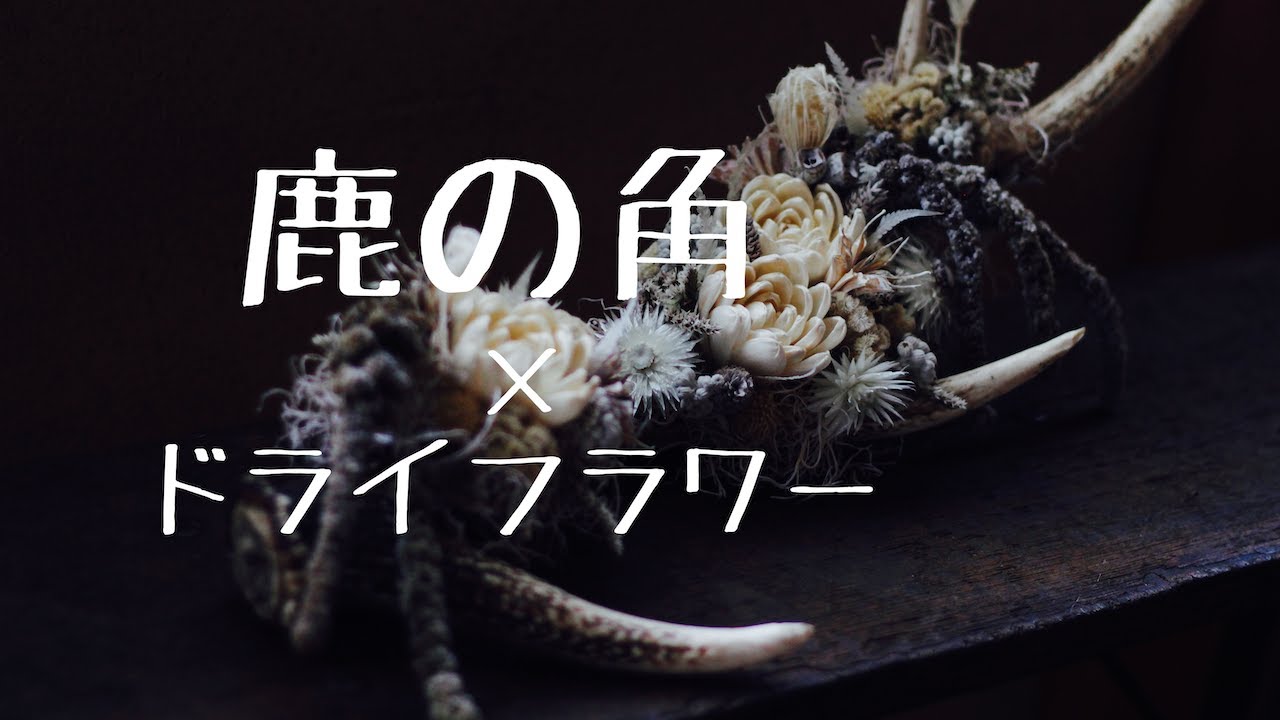 鹿の角を拾ったら】ドライフラワーで【ジブる】 - YouTube