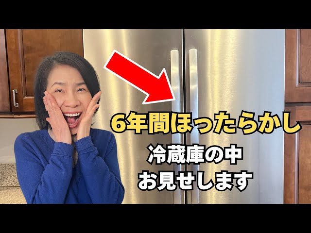 アメリカで冷蔵庫の大掃除】ビフォーアフター | 6年ほったらかし