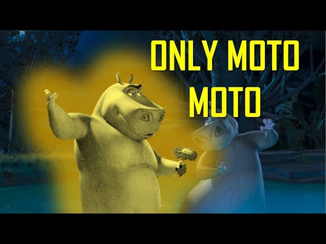 Big And Chunky (Cancion de Moto-Moto) // Madagascar 2 // Subtitulado  Español + Lyrics 