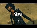 "Sowo" - DaVido x Tekno Type beat [ Afrobeat x Afro fusion Instrumental ]