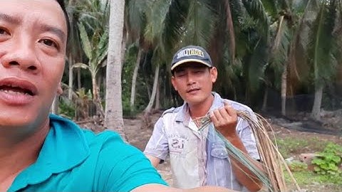 Chia Sẻ Cách Cắm Câu Cá Lóc Ban Ngày Và Đôi Lời Tâm Sự Thật Lòng Cùng Các Bạn