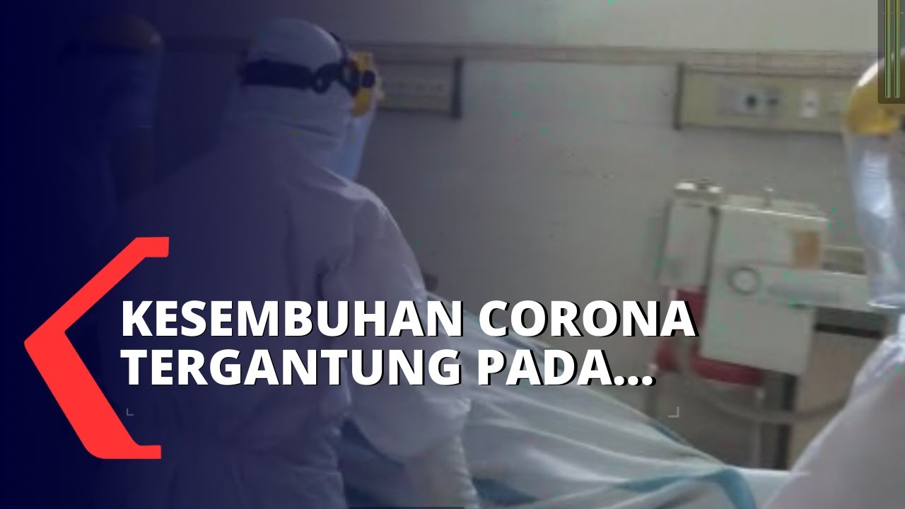 Terkait Pasien Positif Corona Yang Dapat Sembuh