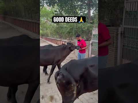 Small Help, Big Smile 😊 #Charity #GoodDeeds #Help2Happy