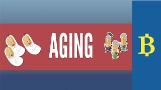 Aging - Real Economy: Crash Course