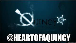 Introduction - The Quincy