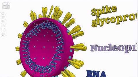 Explore a Structure in Science with Tinkercad