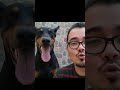 🚀 Aprende Programación con Proyectos Reales