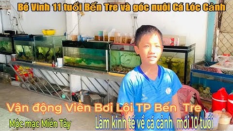 Cậu bé lớp 6 Bến Tre và góc nuôi Cá Lóc Cảnh làm kinh tế - Thái Salem vê lốc
