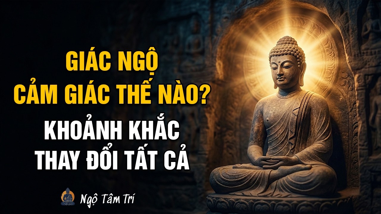 Cảm giác CHỨNG NGỘ thực sự như thế nào? Sự thật về GIÁC NGỘ trong Kinh Tạng Pali | Ngộ Tâm Trí