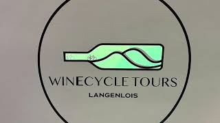 Discover Austrias Kamptal Wine Region By E-Bike With Winecycle Tours
