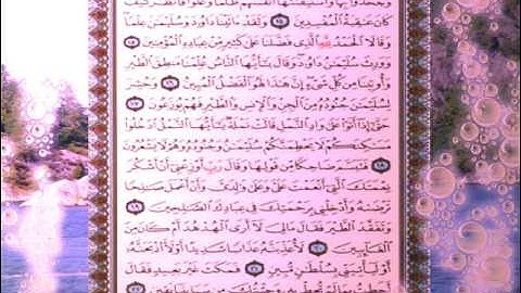 القران الكريم سورة النمل من الاية 1 الى الاية 22