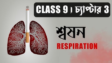 WBBSE CLASS 9 । Life Science Chapter 3 । শ্বসনতন্ত্র ও ফুসফুসের গঠন ।  BotanyTv