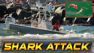 SHARK ATTACKS AT HAULOVER INLET! | HAULOVER BOATS | WAVY BOATS