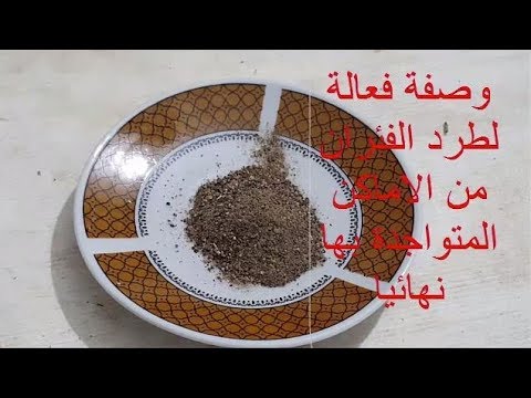 فيديو: كيف تُبعد الفئران؟