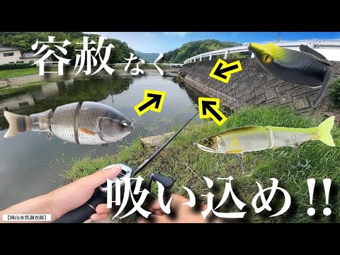 11点ビックベイト　ジョイクロ等多数 imgrc0063791670.jpg