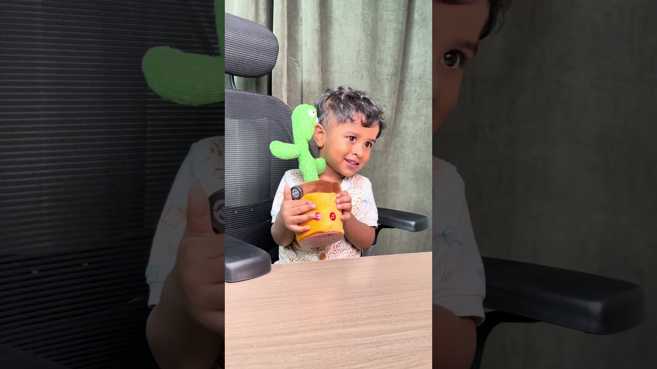 Cactus toy | Pure Joy With The Dancing Cactus!