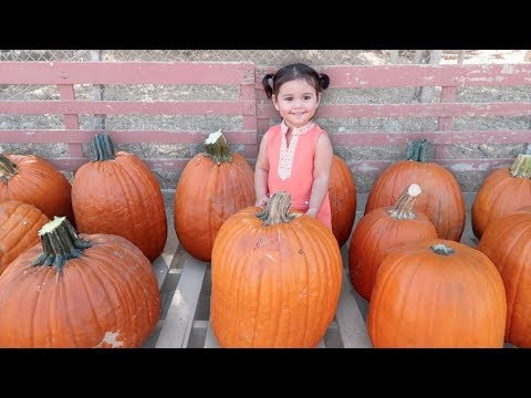 BABY'S FIRST PUMPKIN PATCH!!!