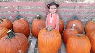 BABY'S FIRST PUMPKIN PATCH!!! Net Worth