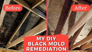 How-To Black Mold Remediation Experience with RMR 86 & RMR 141 to clean up and remove my attic mold