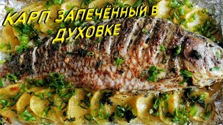 КАРП, ЗАПЕЧЁННЫЙ В ДУХОВКЕ С КАРТОФЕЛЕМ! Просто и вкусно!!!...