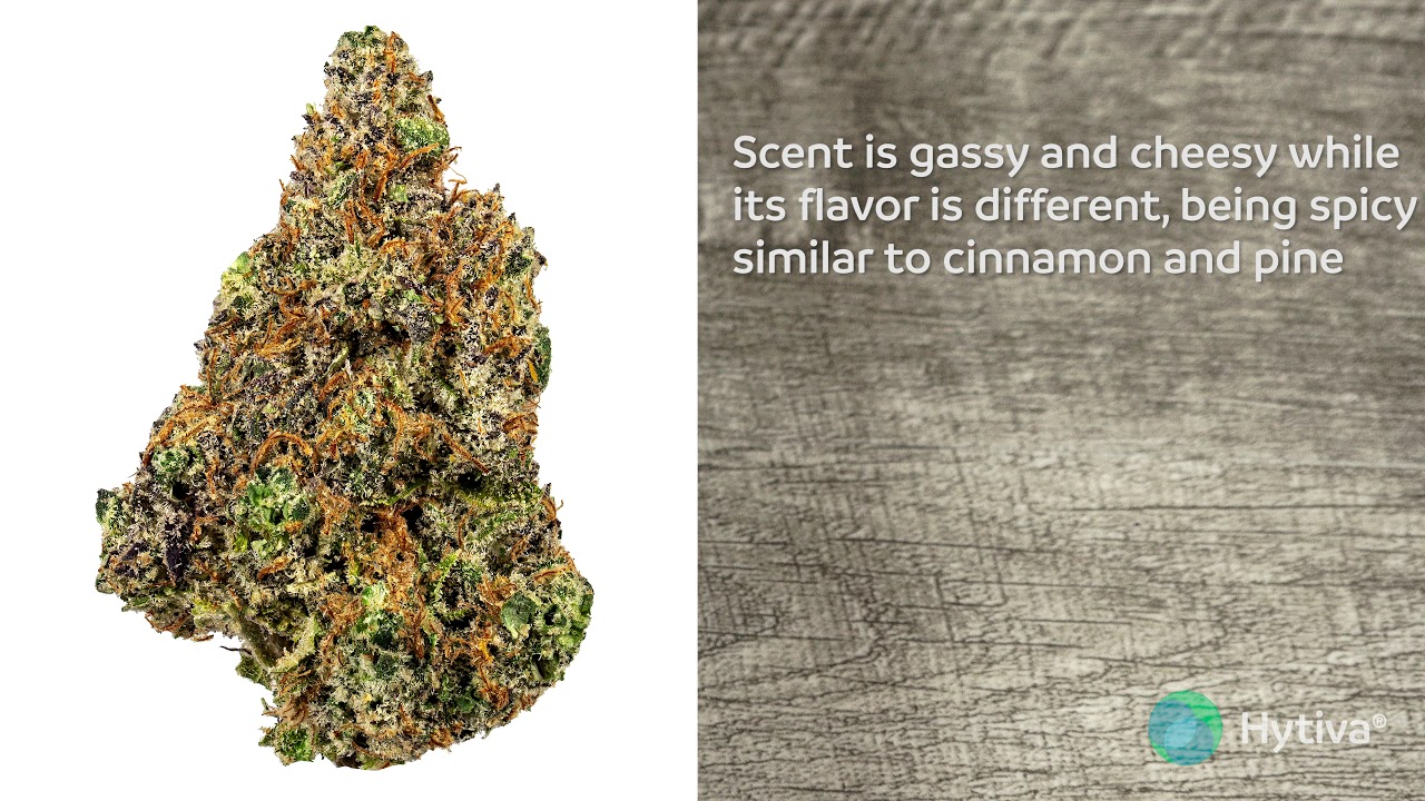 Tropical Sour Kush | Strain Review