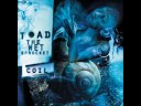 Toad the Wet Sprocket - Whatever I Fear