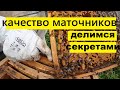 Признаки отличия ложного маточника от качественного.