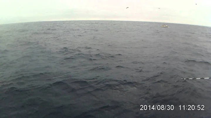 2014 08 30 2014 Boat 1