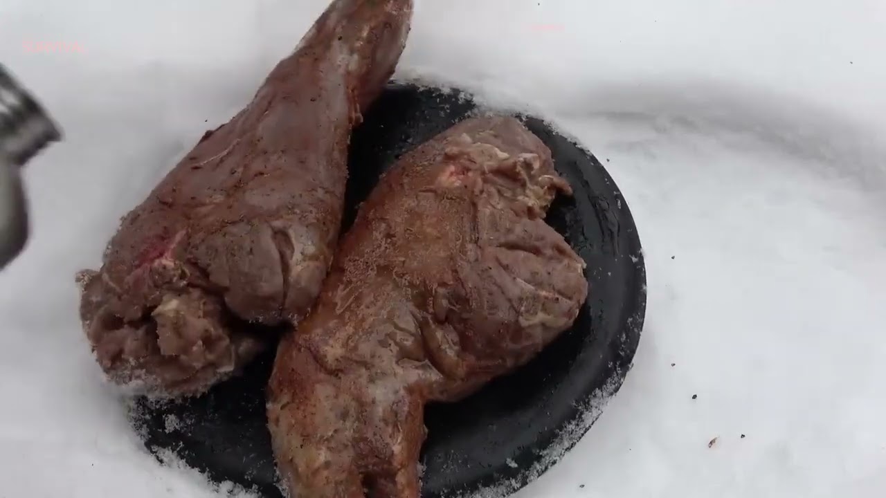 PRIMITIVE COOKING Red Fox Over Open Fire Native American Style_R